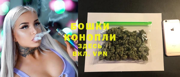крисы Козельск