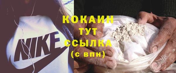 соль ск Козловка