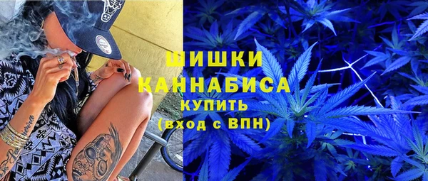 крисы Козельск