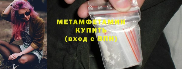 крисы Козельск