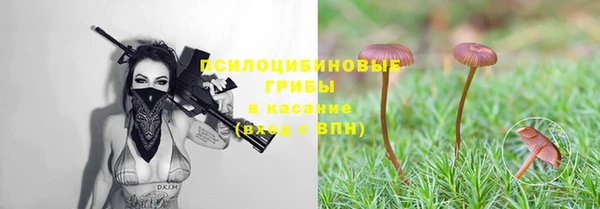 герыч Майский