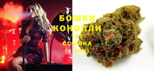 дживик Магас