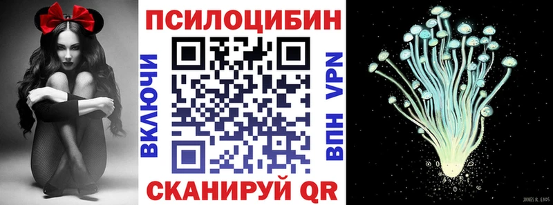 Купить  Баймак  Псилоцибиновые грибы Magic Shrooms 